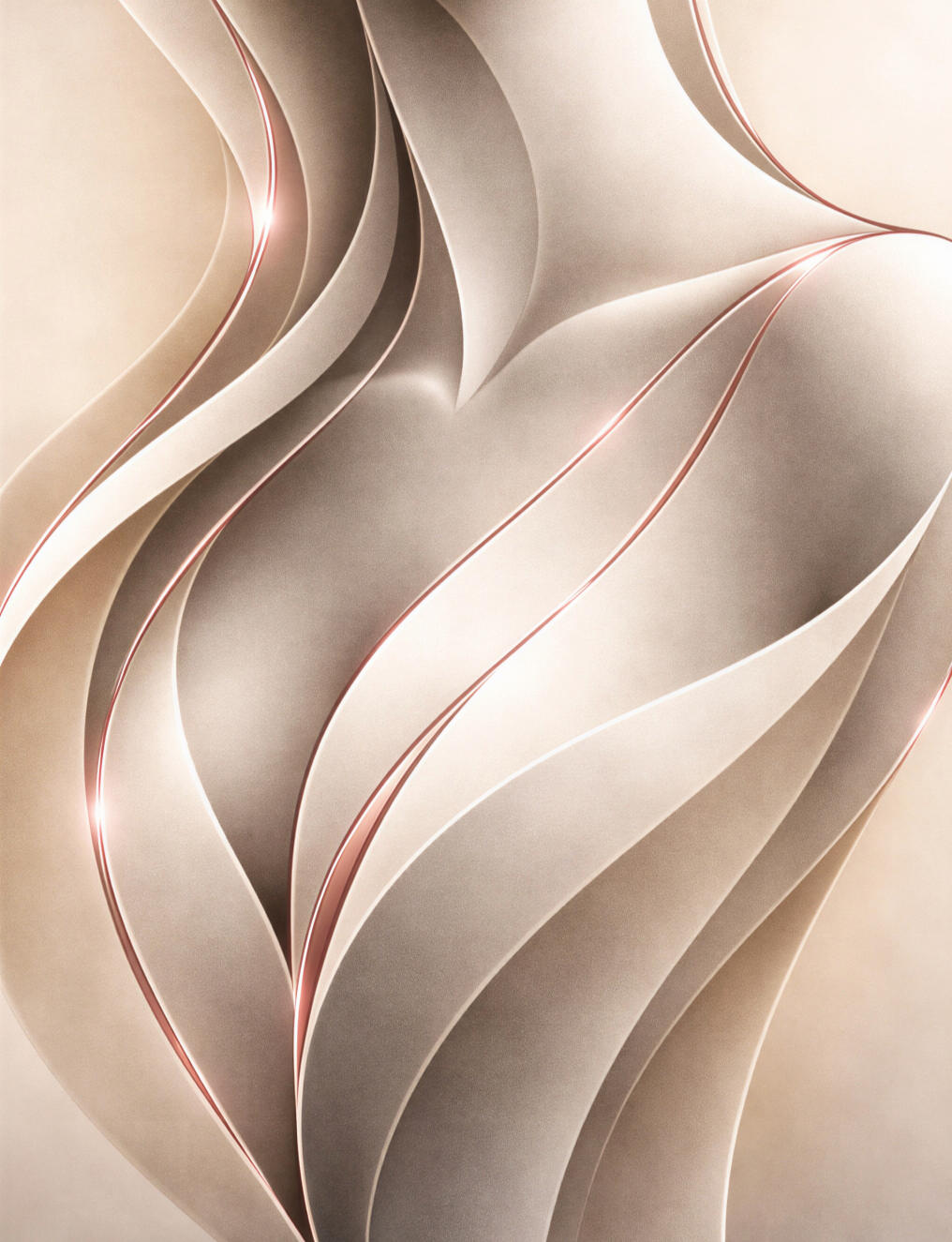 The Light Pink Lining